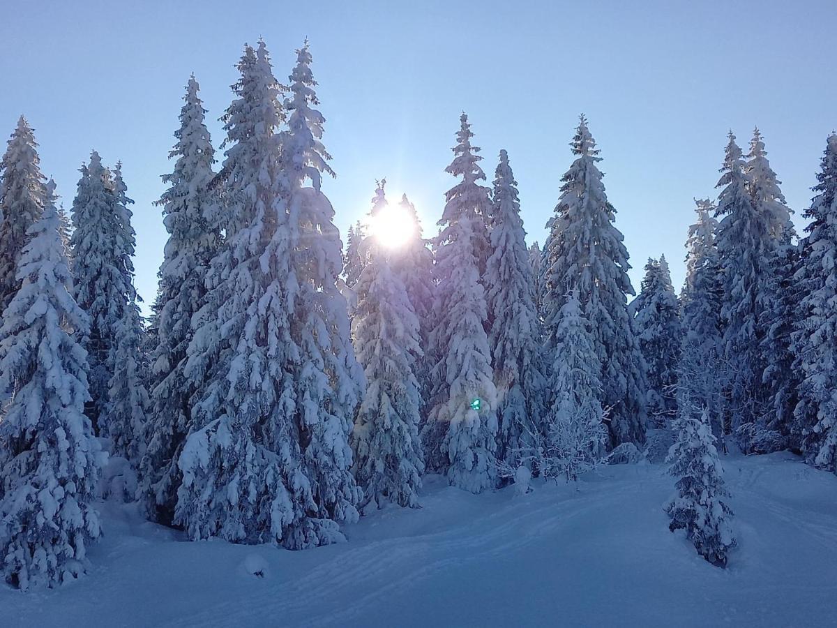 Apartmán Au Pied Du Pertuiset Drumettaz-Clarafond Exteriér fotografie